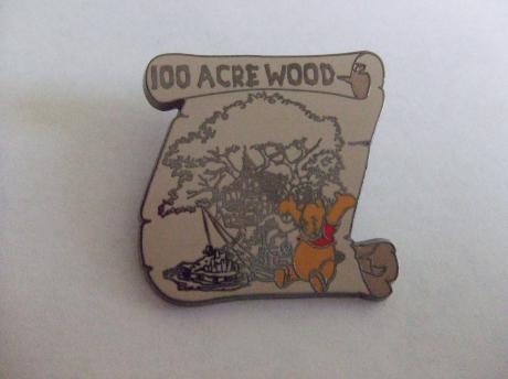 Winny The Pooh 100 Acre wood